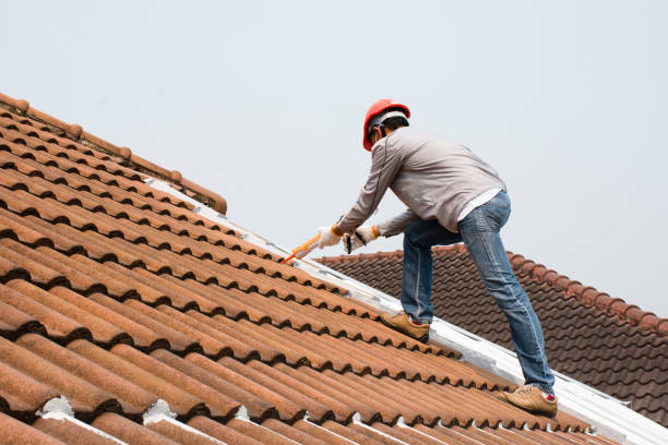 Best Solar Panel Roofing Installation  in Creve Coeur, MO